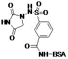 Preparation methods of nitrofurantoin hapten and nitrofurantoin antigen, and applications of nitrofurantoin hapten and nitrofurantoin antigen in chemiluminescence immunoassay kit