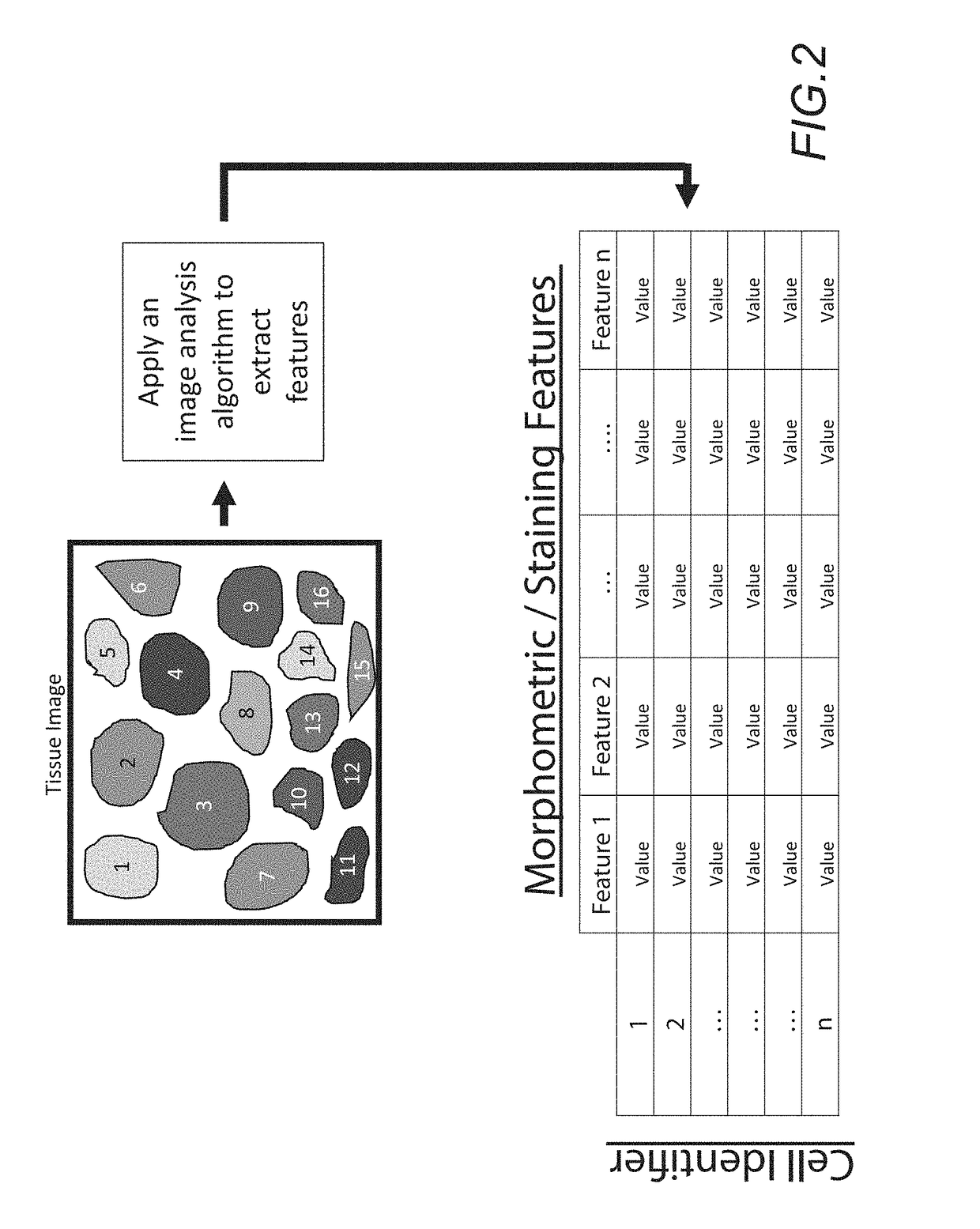 Method for stratifying and selecting candidates for receiving a specific therapeutic approach