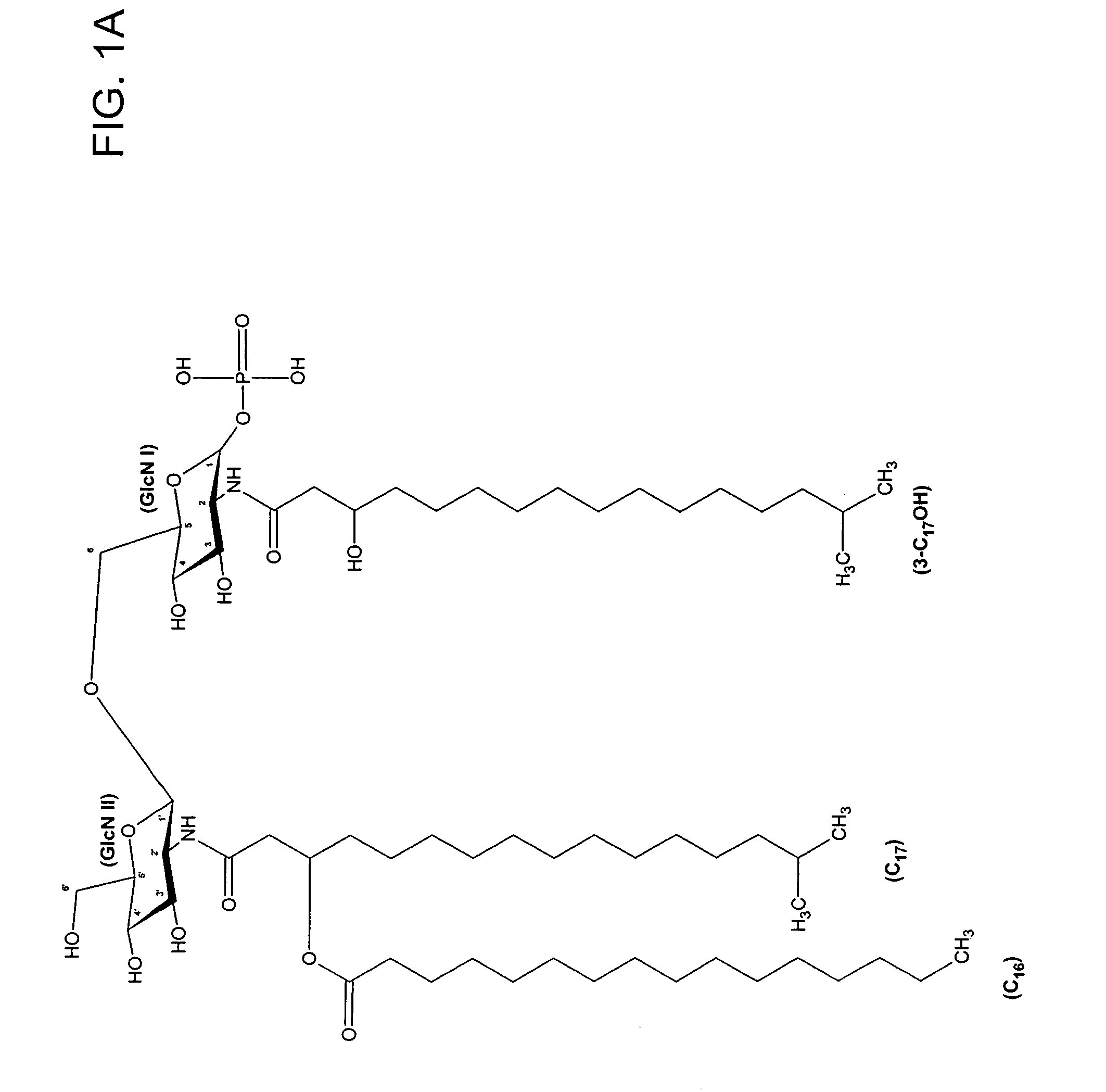Porphyromonas gingivalis 1435/1449 LPS as an immune modulator