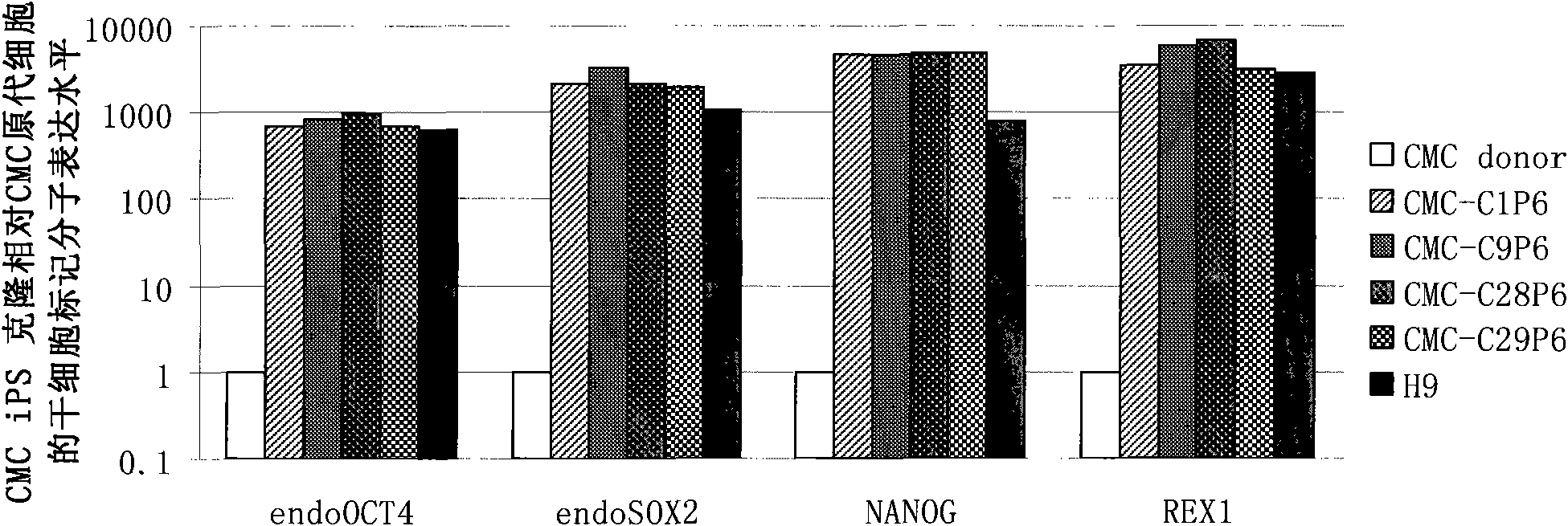 Cell type used for producing induced pluripotent stem (iPS) cells and preparation method and application thereof