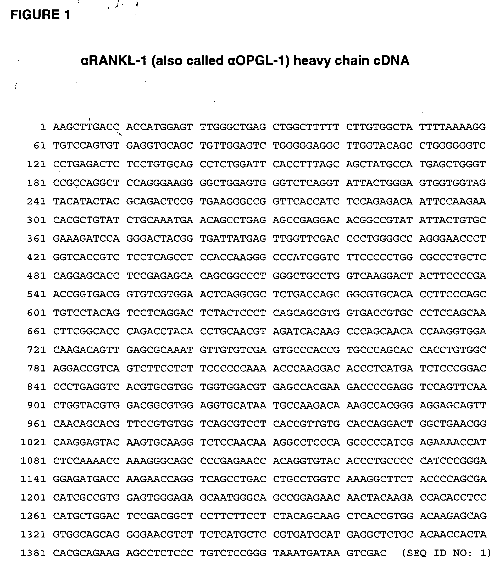 Rankl antibody-PTH/PTHrP chimeric molecules