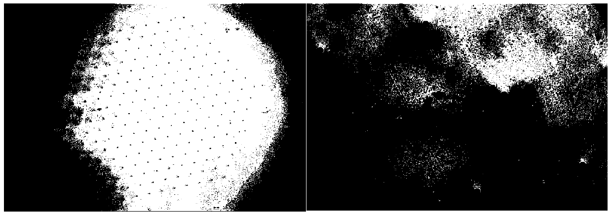 A method for preparing a microchannel array plate, a device for obtaining liquid droplets and a method for producing liquid droplets