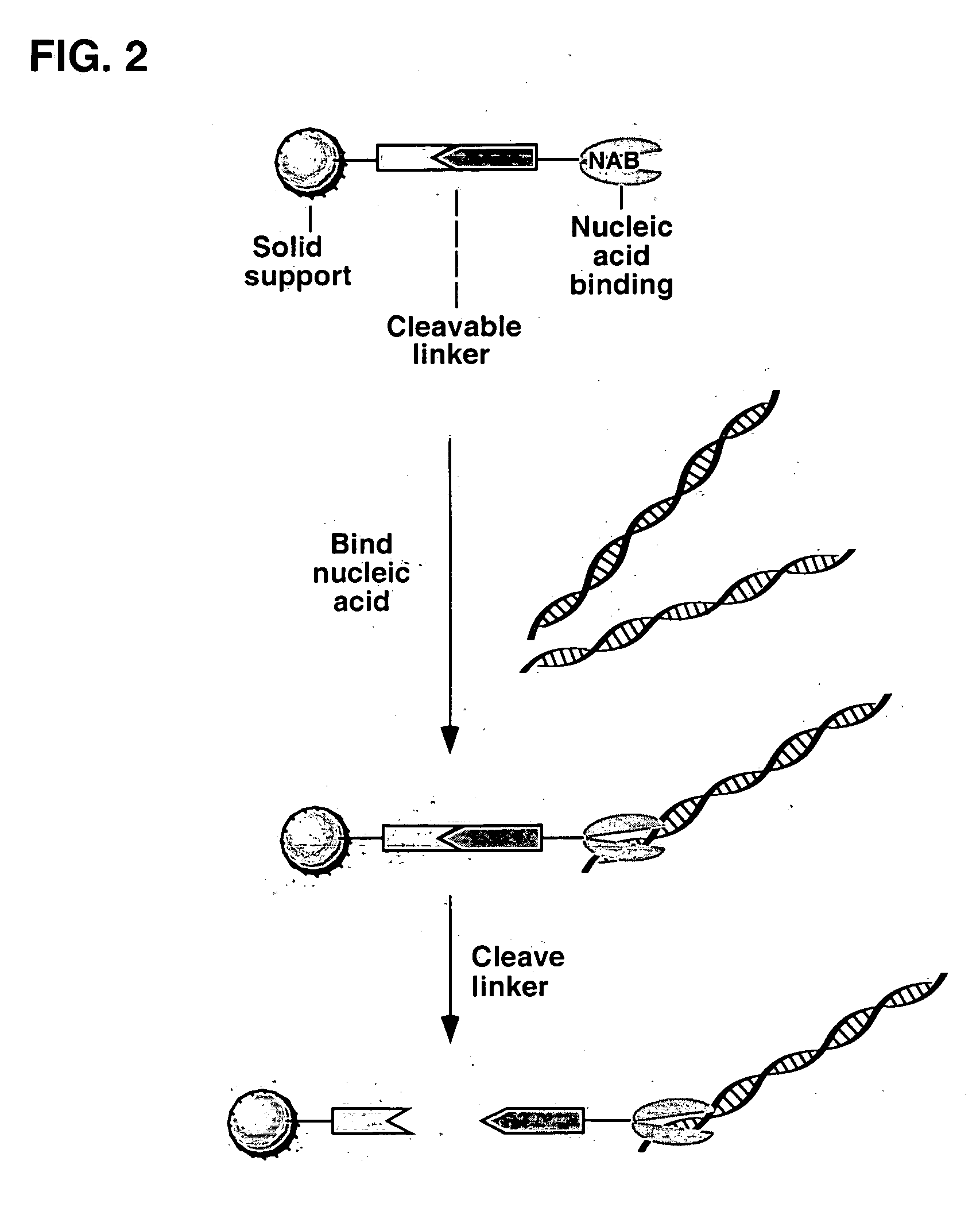 Methods of using cleavable solid phases for isolating nucleic acids