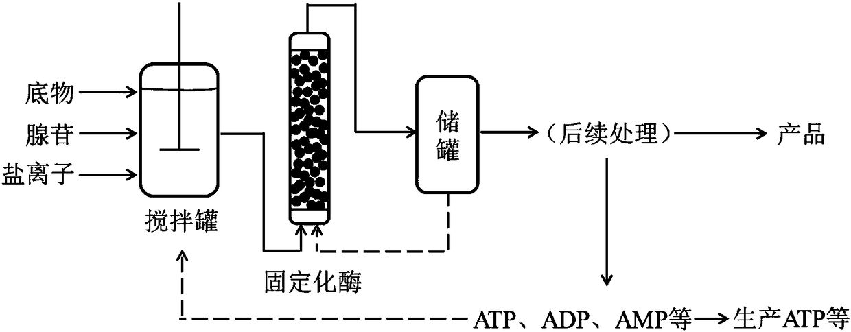 Production method for enzymatic reaction by utilizing adenosine to replace ATP