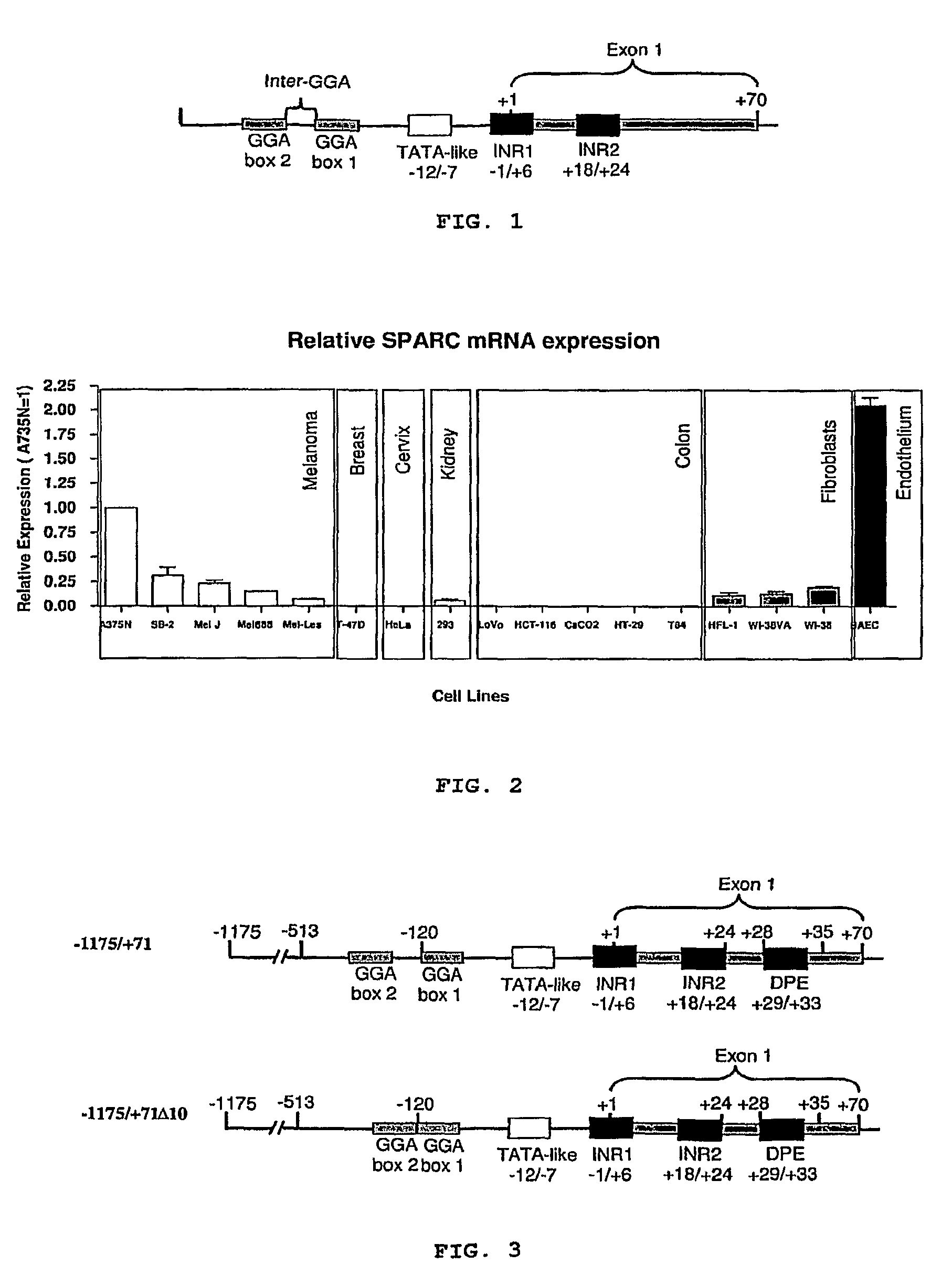 Isolated DNA fragment of the SPARC human promoter and its use for driving the expression of an heterologous gene in tumor cells