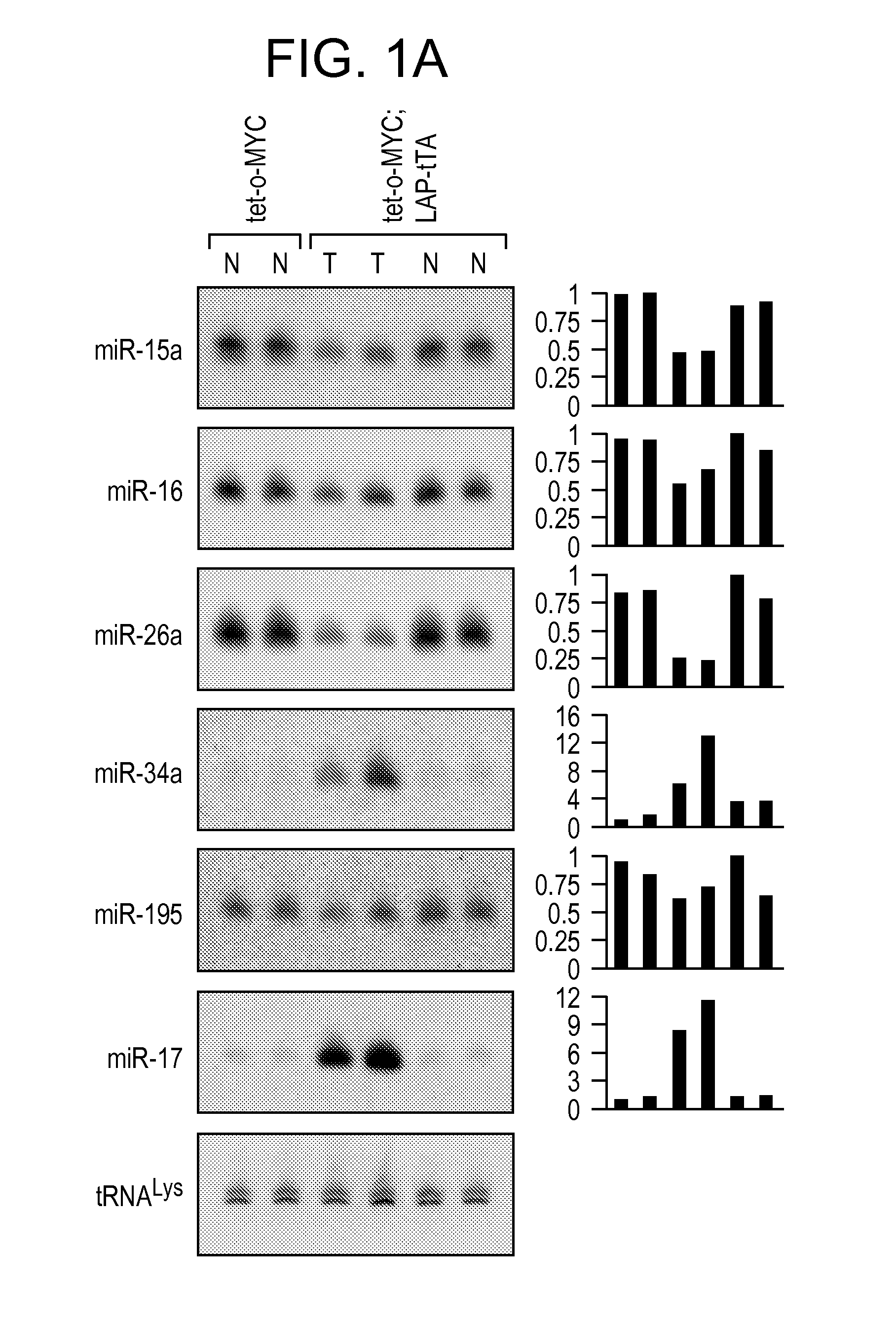 Compositions and methods for treating hepatic neoplasia