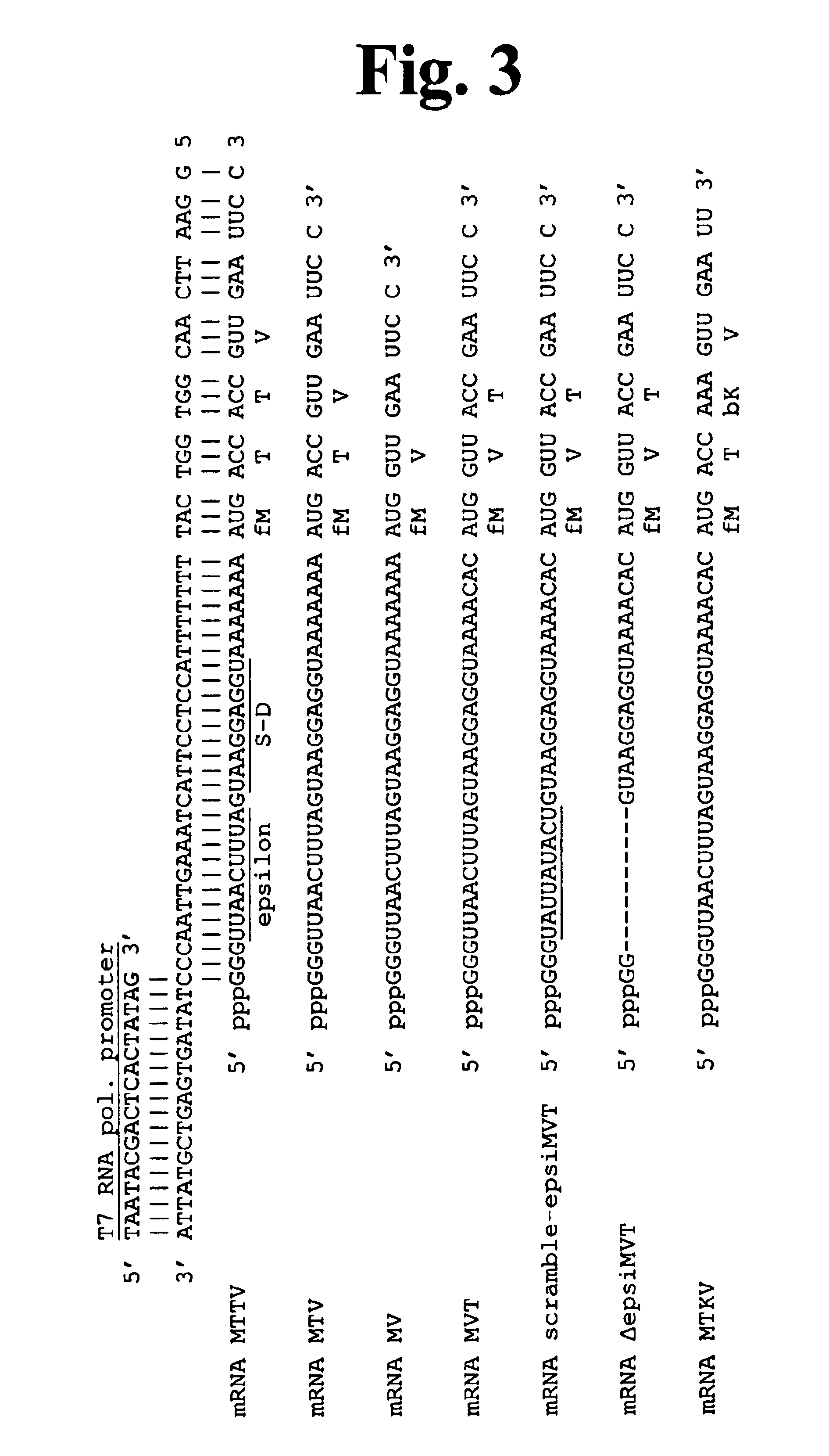 Process and compositions for peptide, protein and peptidomimetic synthesis