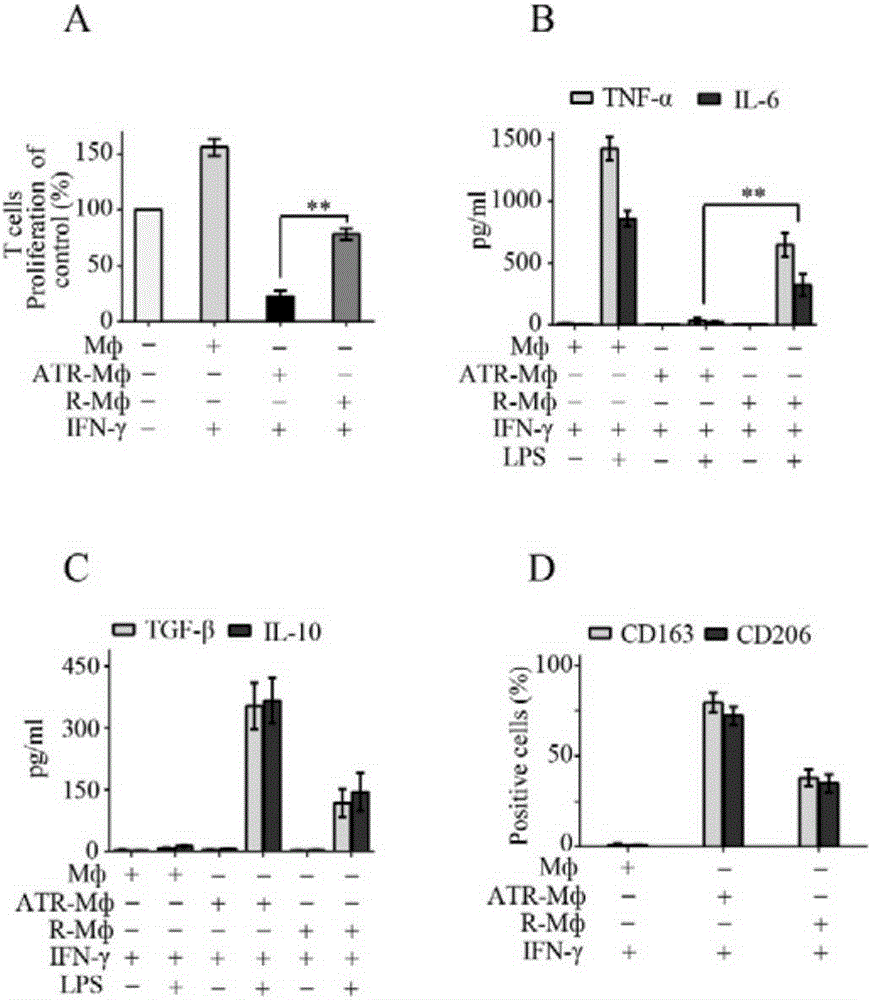 In-vitro induction regulatory macrophage and preparation method and application