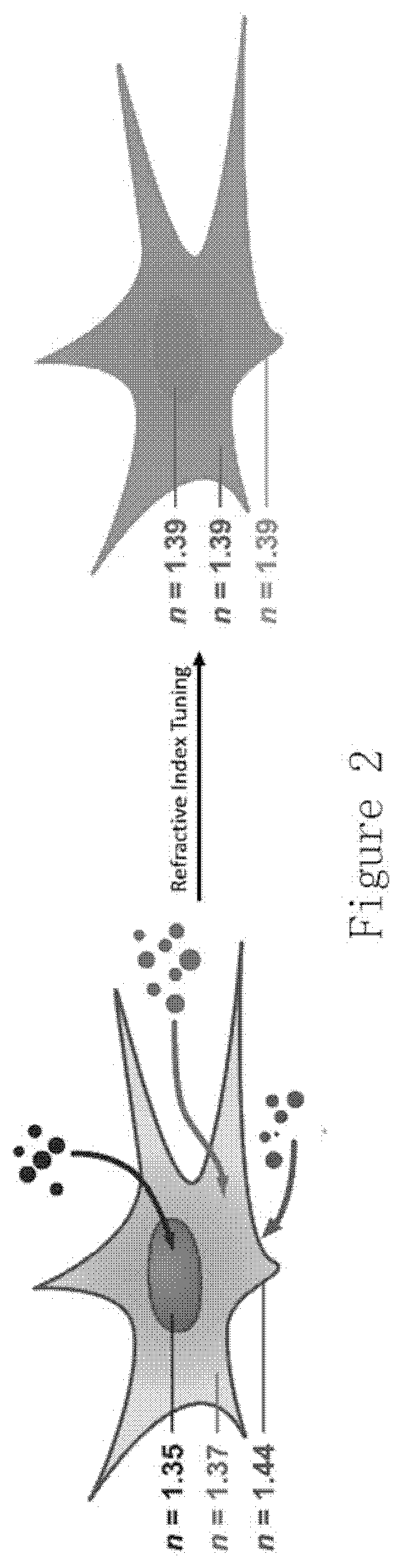 Compositions and methods for clearing tissue