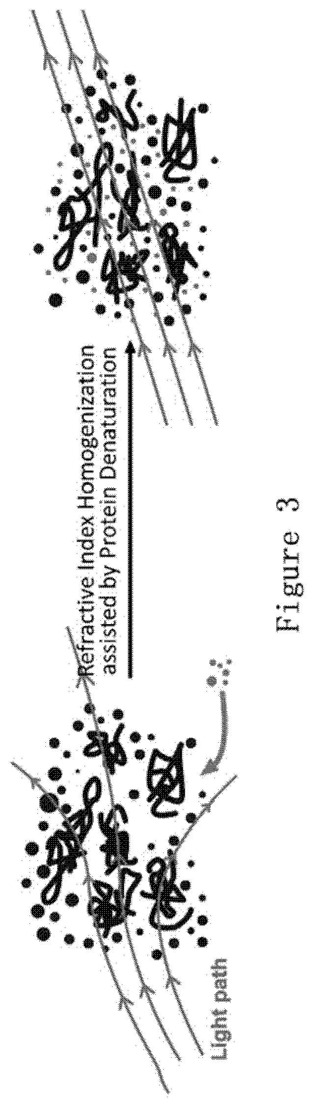 Compositions and methods for clearing tissue