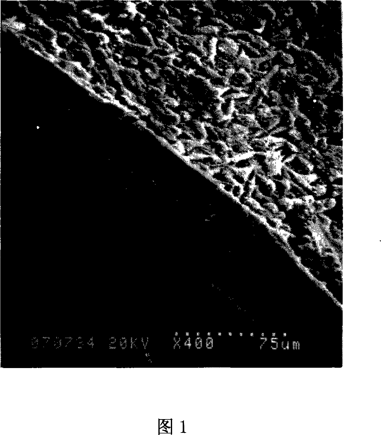 Nano fibrous tissue engineering blood vessel and preparation thereof