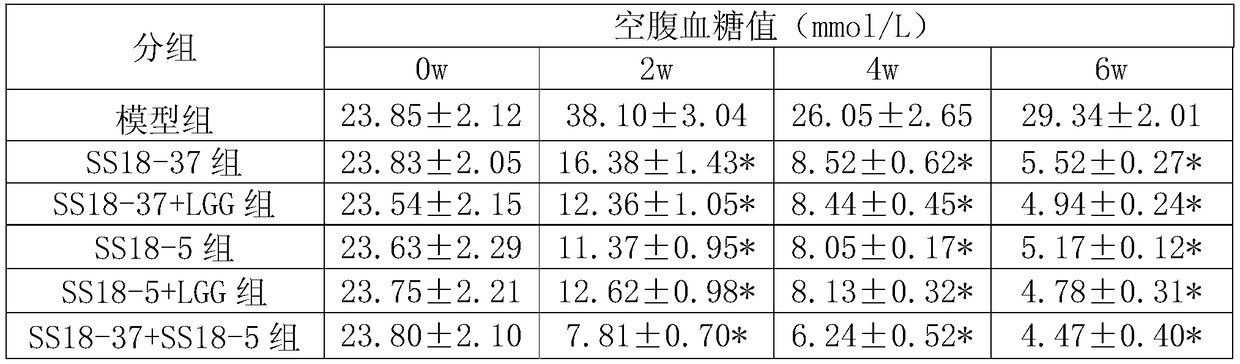 Compound lactobacillus plantarum preparation with blood sugar reducing function and application of preparation