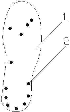 Magnet therapy healthcare shoe pad