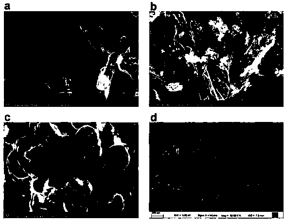 Magnetic nanocomposite, and preparation and application thereof