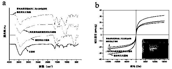 Magnetic nanocomposite, and preparation and application thereof