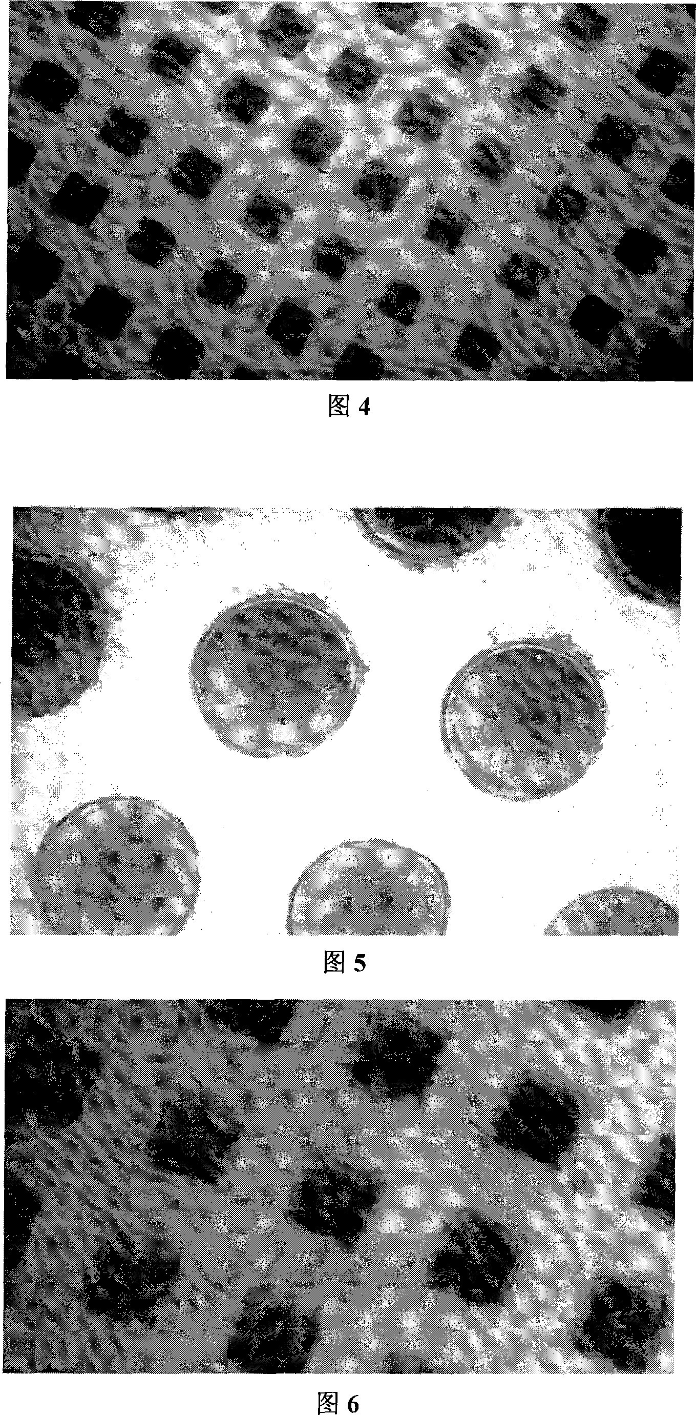 Making method for transmission array of field radiation cathode carbon nano pipe