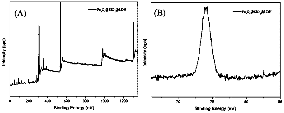Magnetic nano material solid phase extracting agent as well as preparation method and application thereof