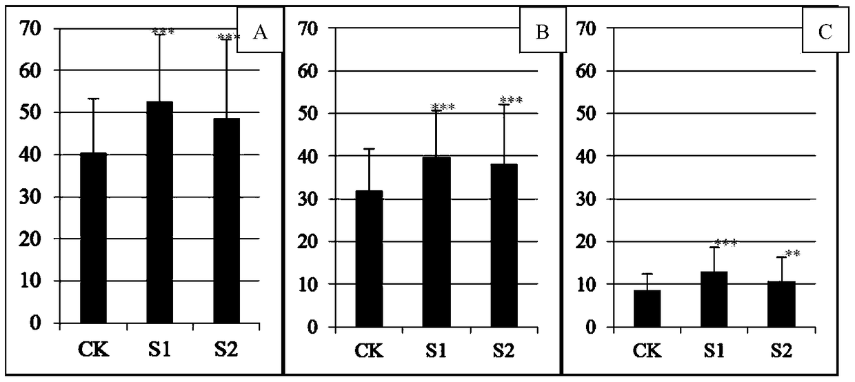 A method for accelerating the growth of petunia seedlings