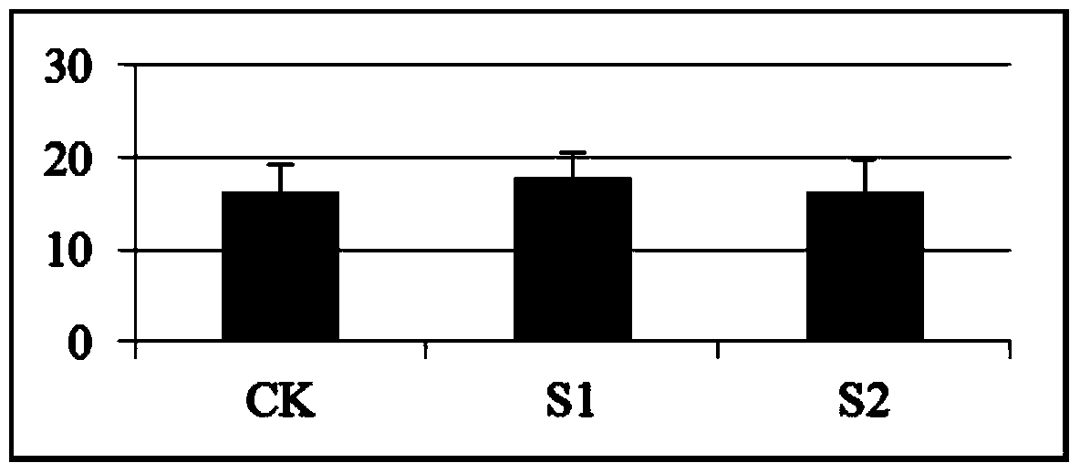 A method for accelerating the growth of petunia seedlings