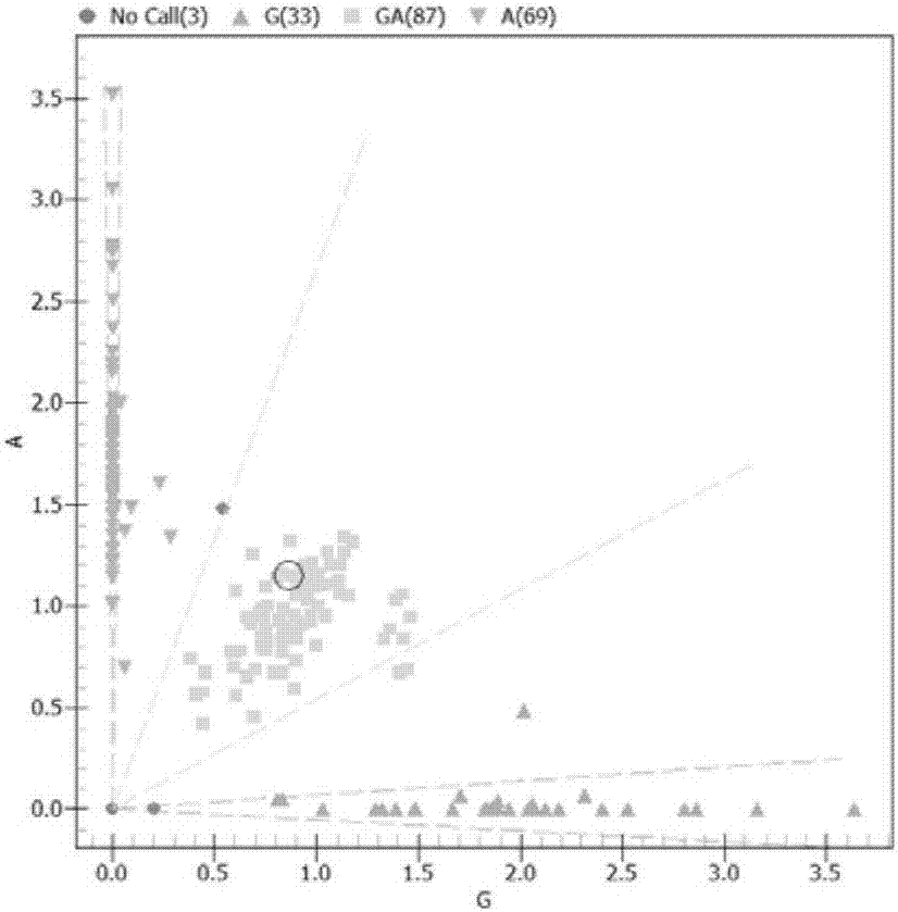 Method for detecting precise medication of four kinds of common clinic cardiovascular medicine and special primer