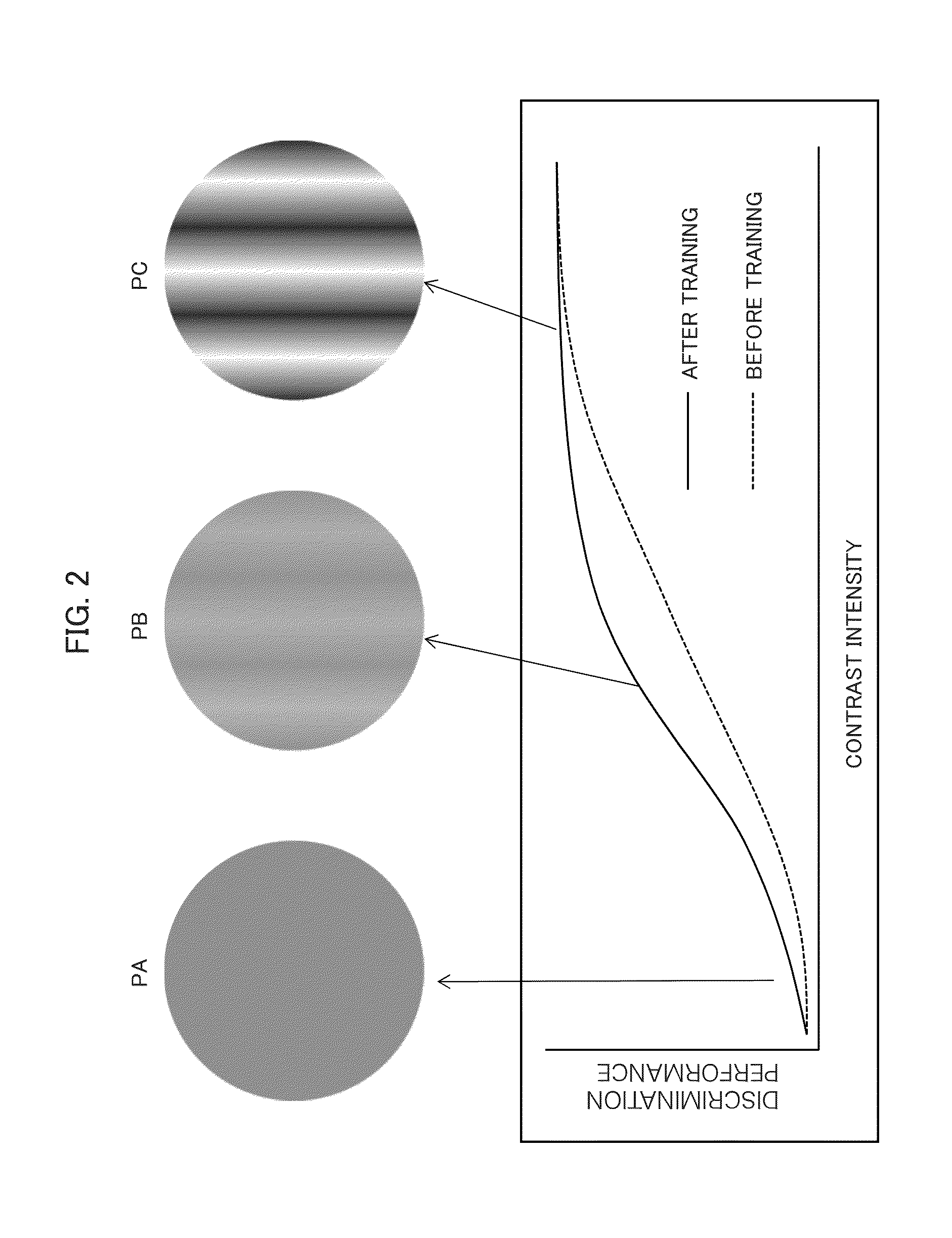 Apparatus and method for supporting brain function enhancement