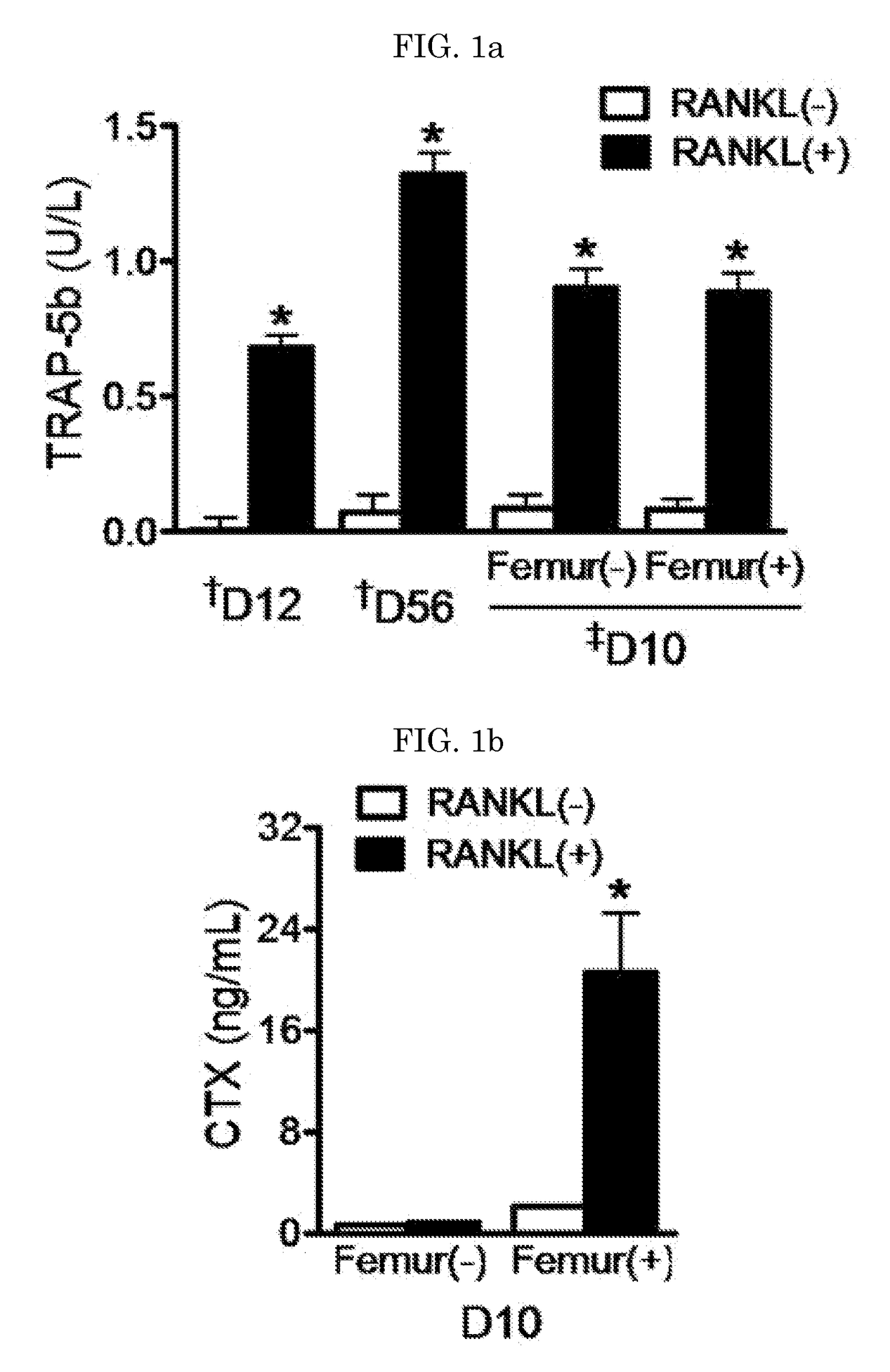 Composition for preventing or treating fracture or osteoporosis using slit-robo system