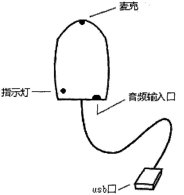 Portable voice input device