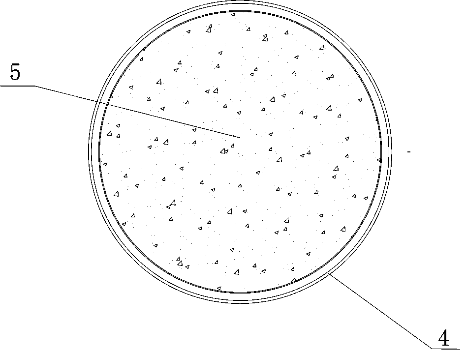 In-situ measuring device for damage of rock and measuring method