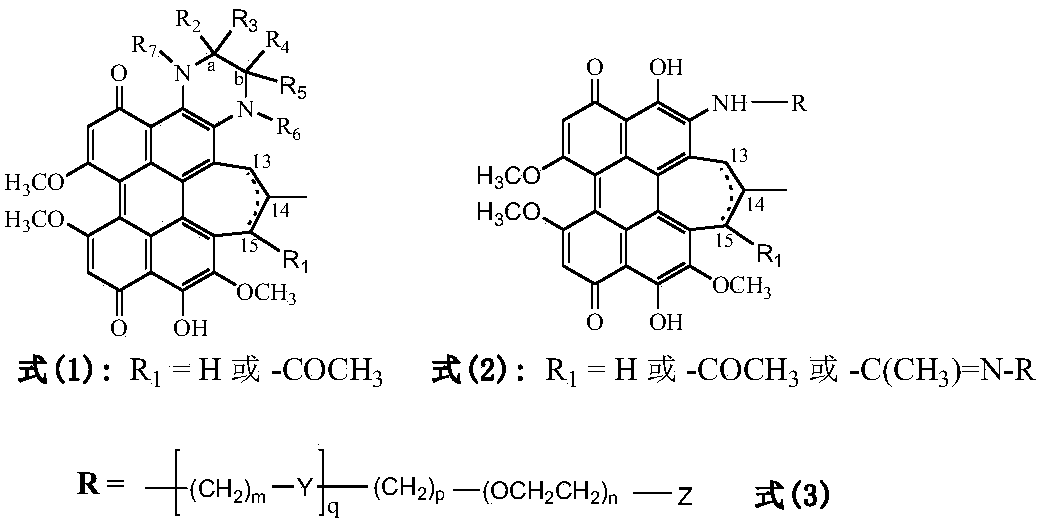 Lipophilic and hydrophilic hypocrellin derivative, preparation method and applications thereof