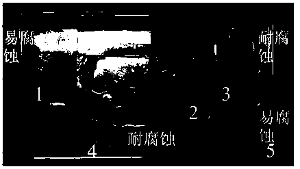 High-temperature coating method of graphene anti-corrosion layer of copper alloy composite material