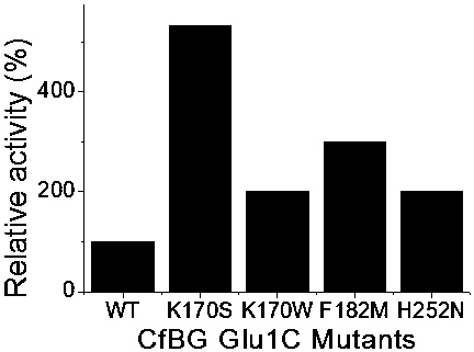 A kind of c-type β-glucosidase mutant and its expression plasmid and recombinant bacteria