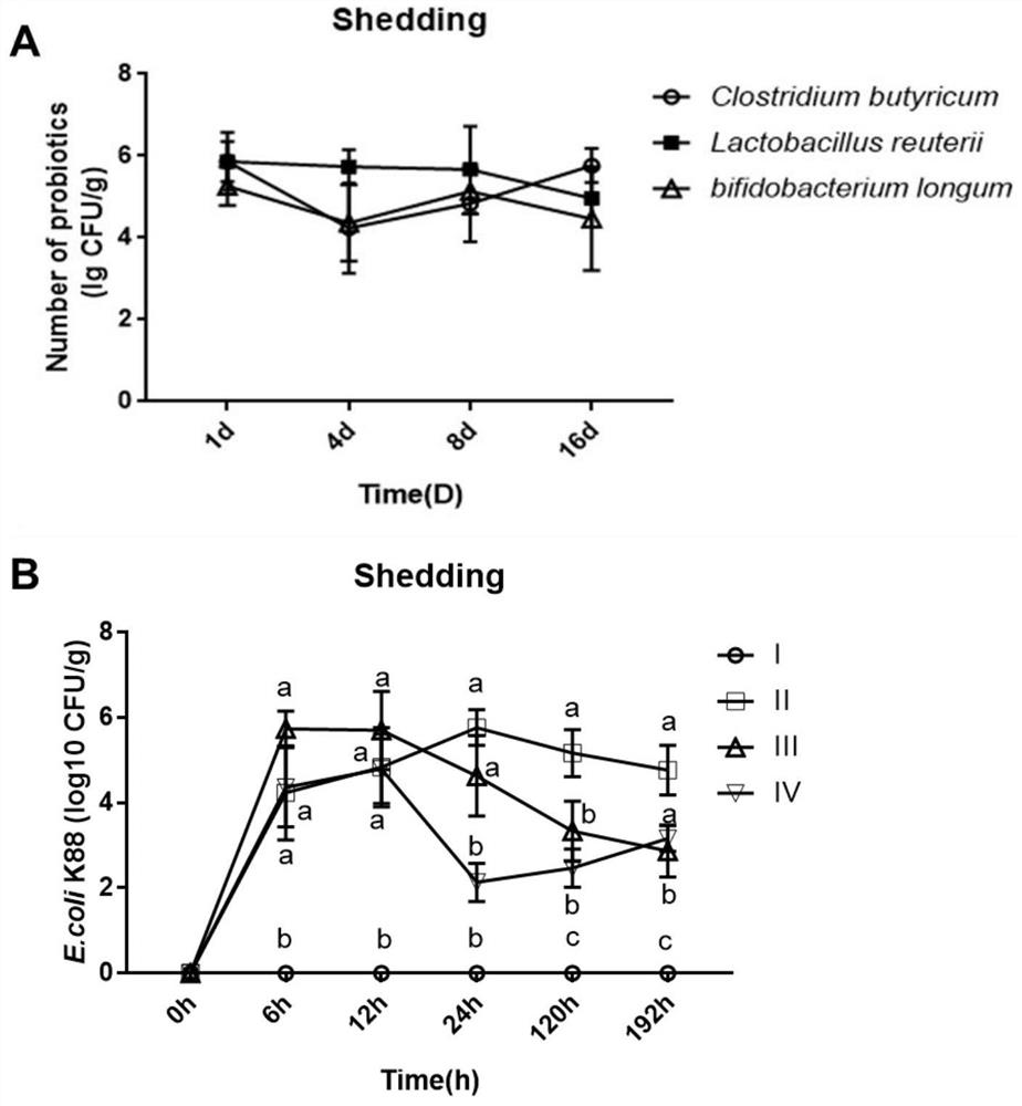 A compound probiotic preparation for preventing and treating piglet diarrhea and its preparation method and application