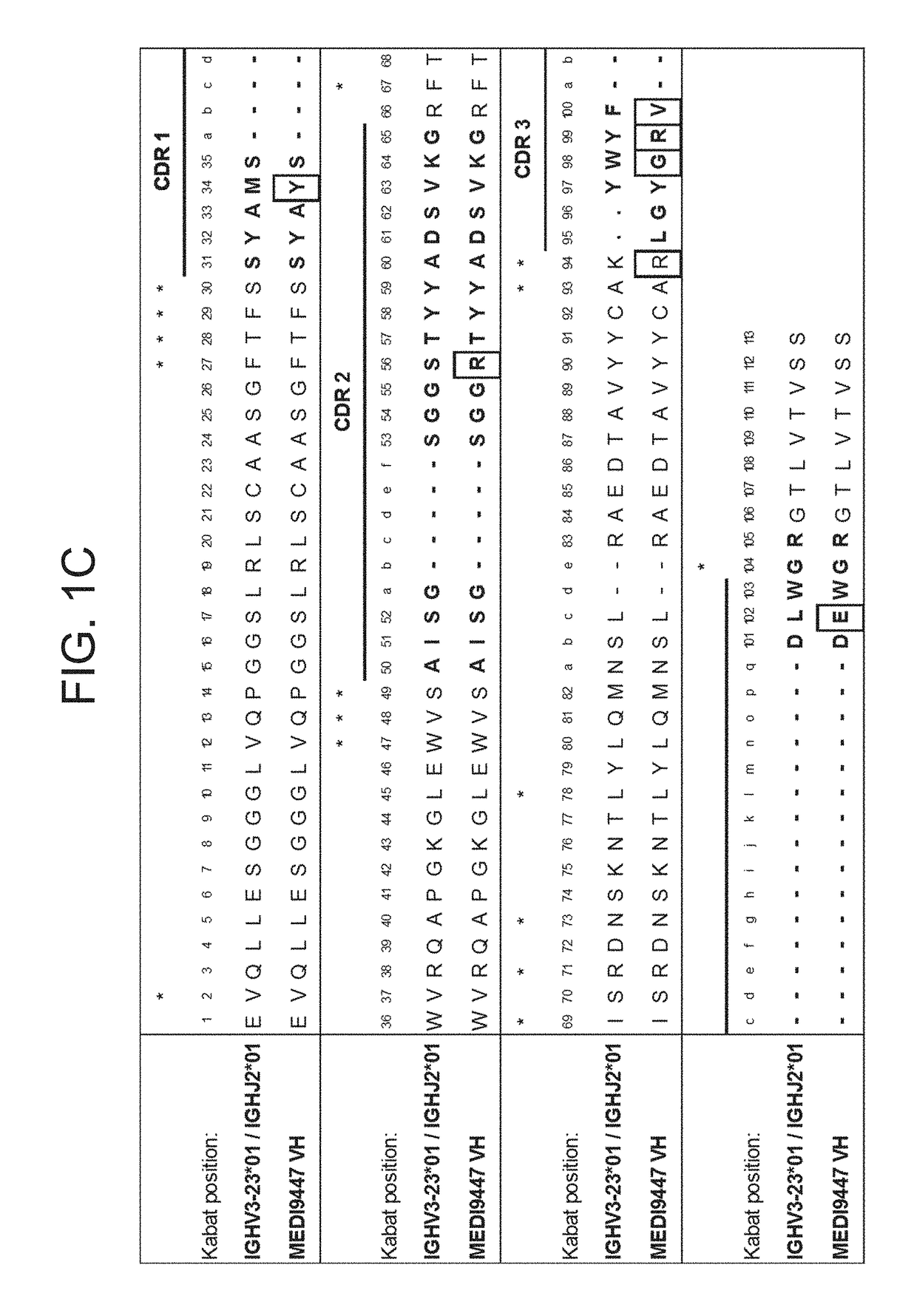 Binding molecules specific for CD73 and uses thereof