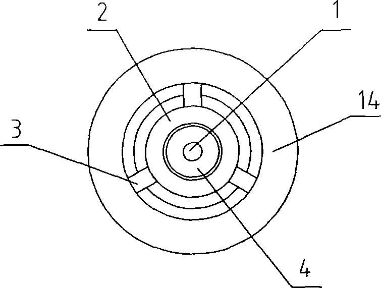 Improved discharging spark plug electrode structure along the surface