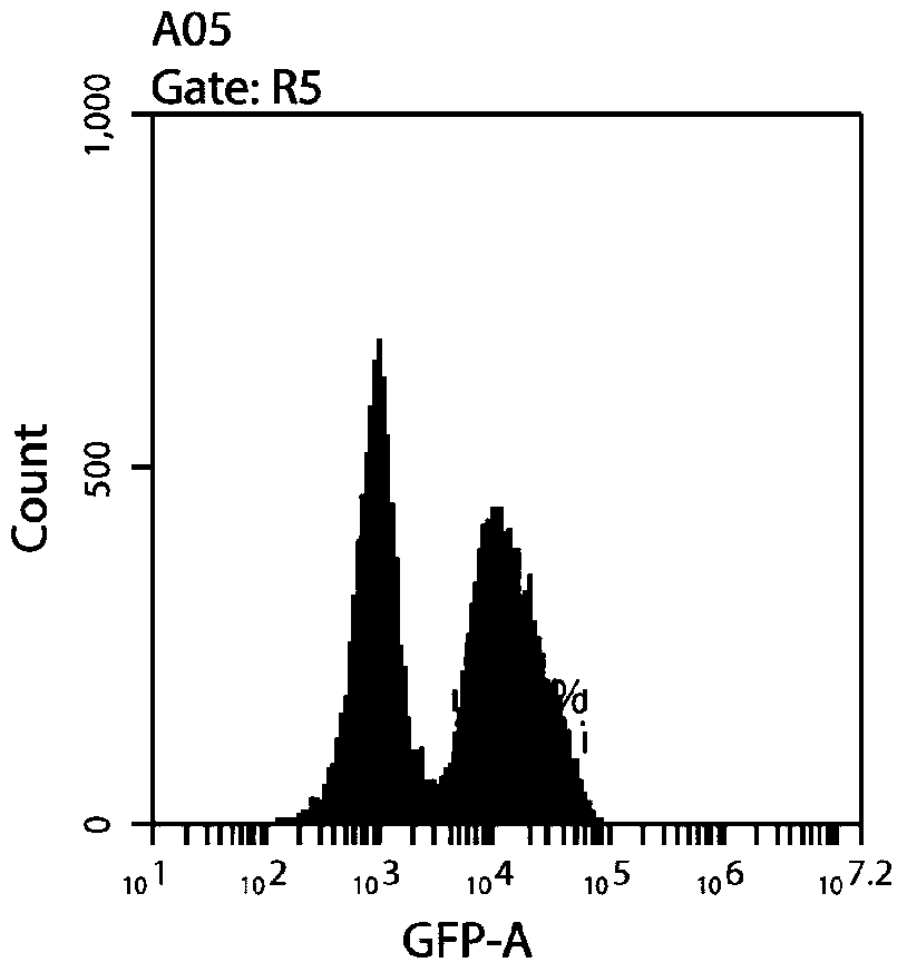 A chimeric antigen receptor against placenta-like chondroitin sulfate and its application