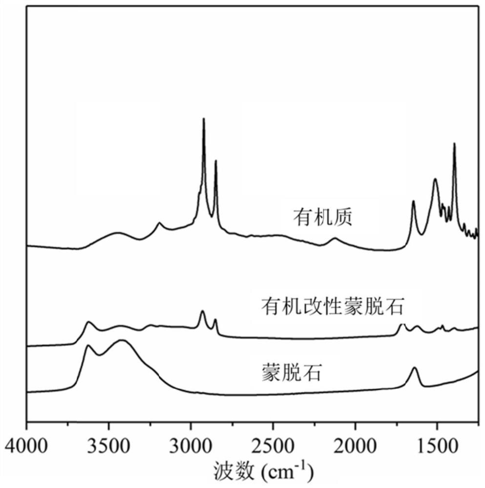 Organic modified montmorillonite composite material and application thereof