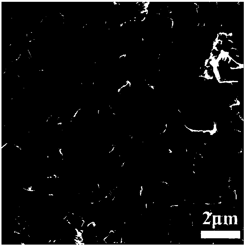 Application of three-dimensional sheet-shaped porous carbon material jointly doped with nitrogen and sulfur