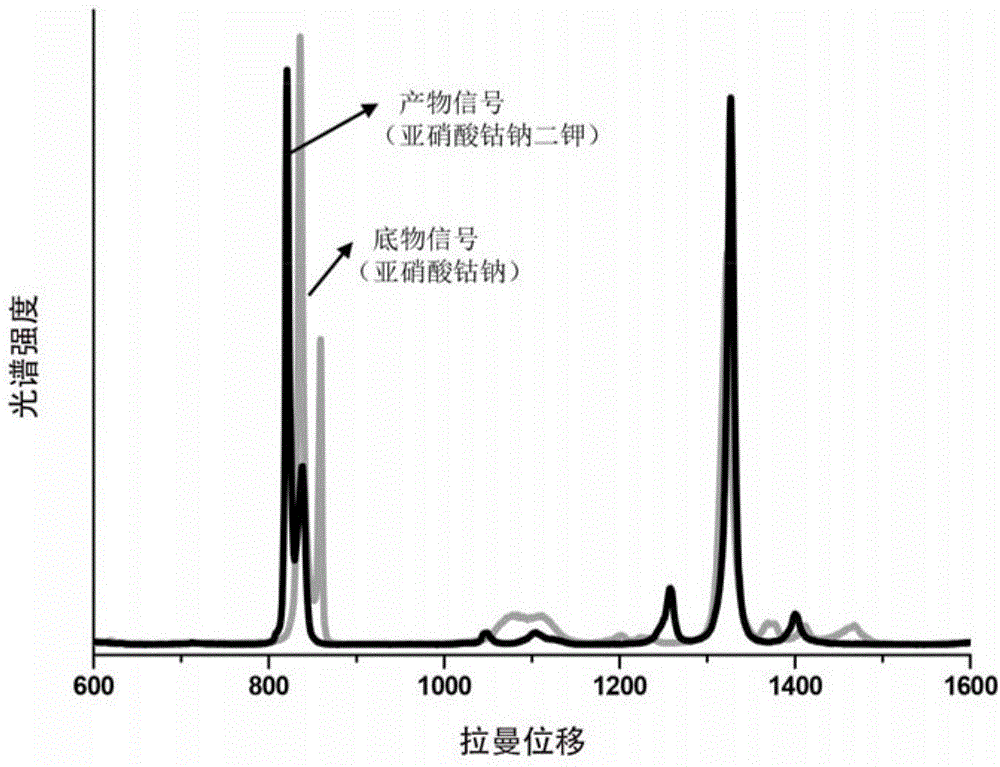 Method for detecting potassium ions by using SERS technology