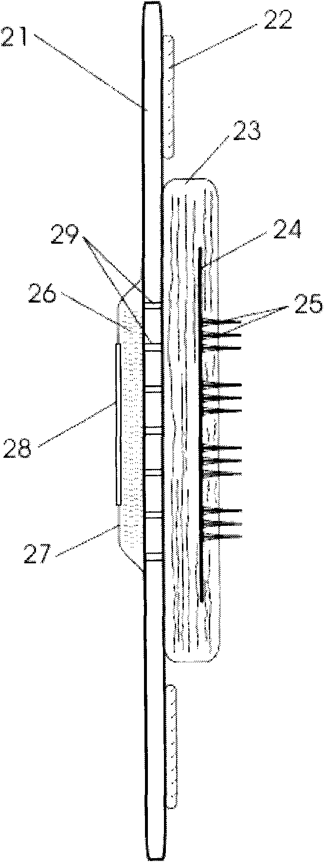 Blood sample collecting device and kit