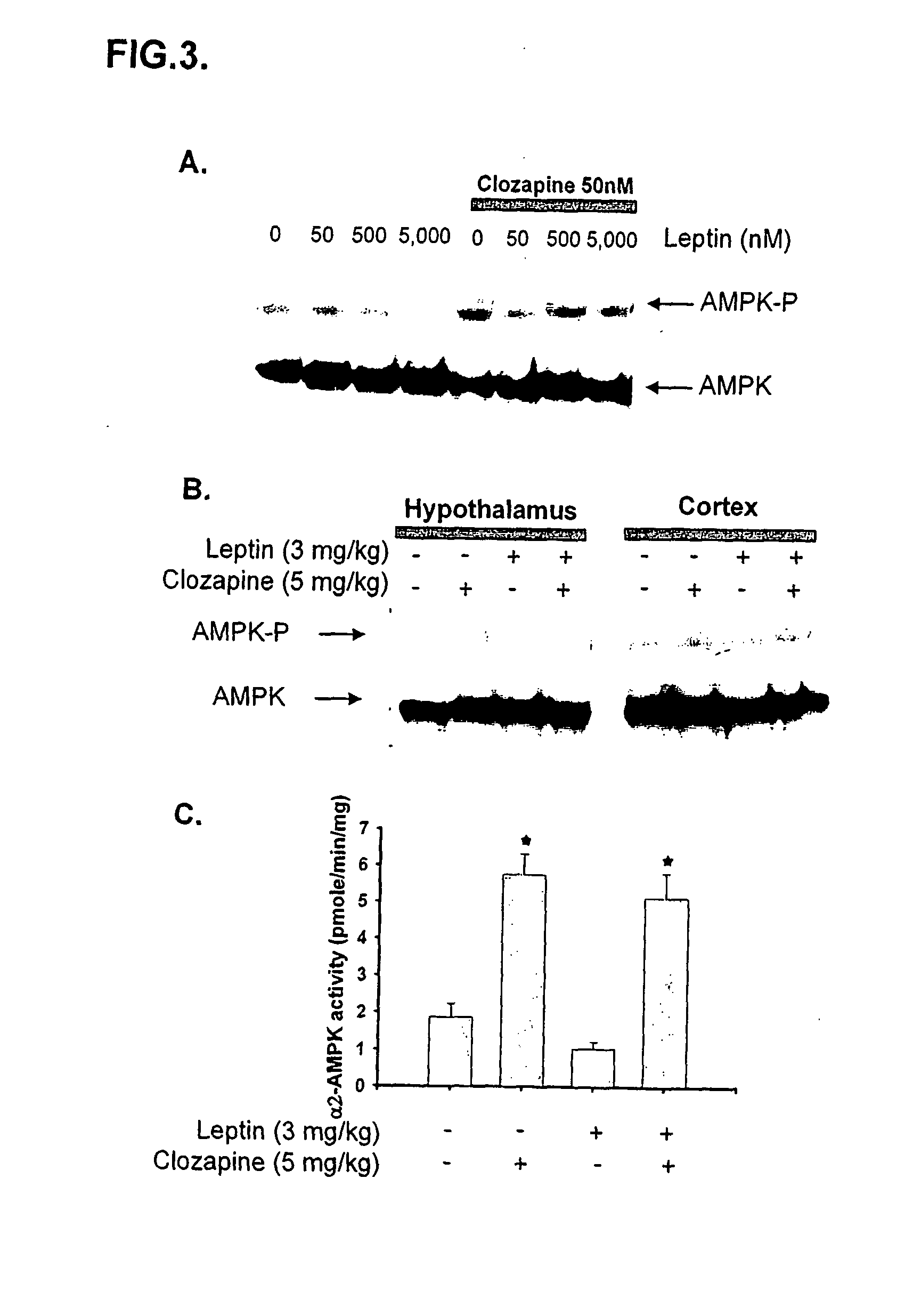 Methods for Predicting Psychotropic Drugs Which Elicit Weight Gain