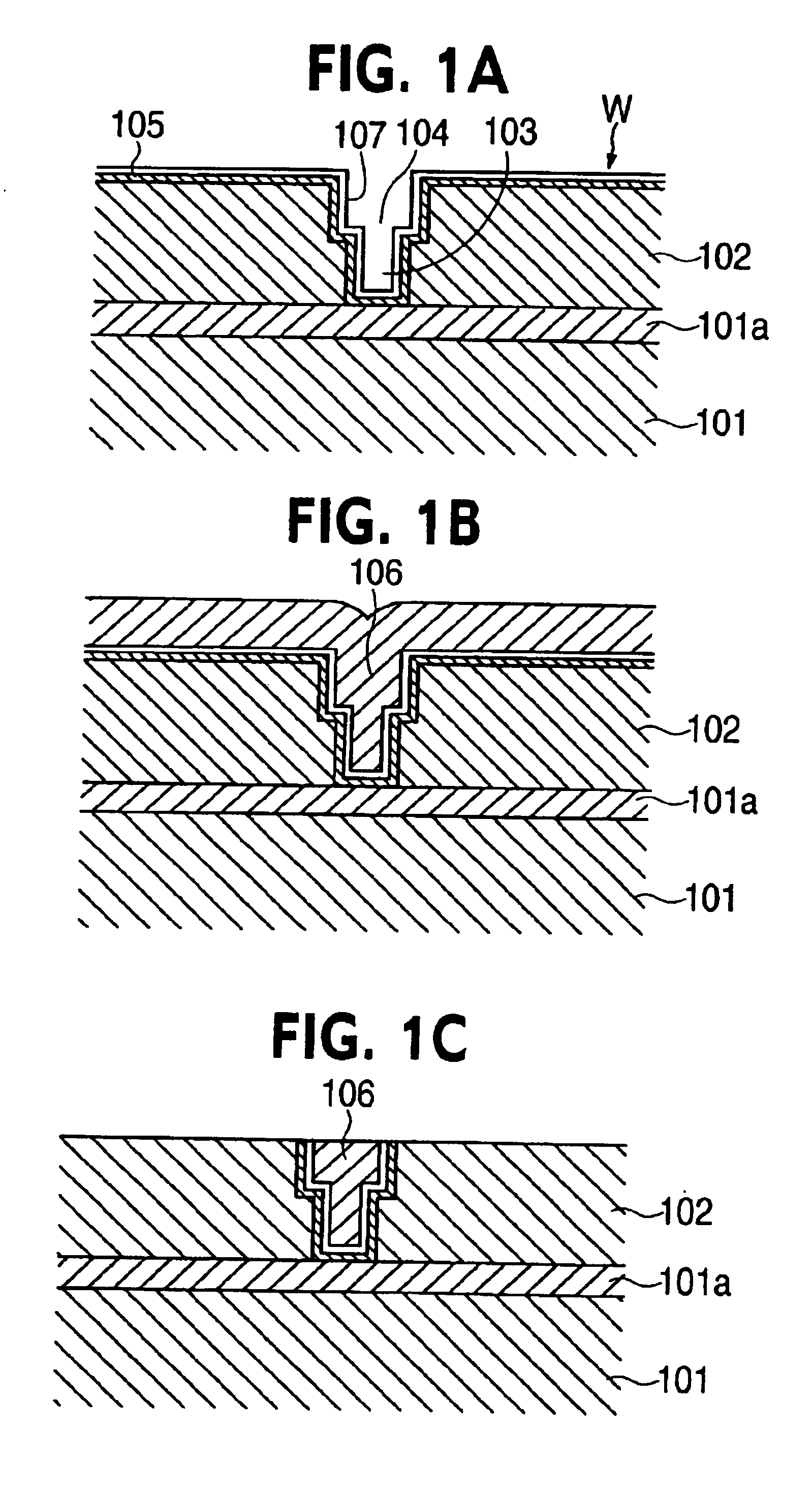 Revolution member supporting apparatus and semiconductor substrate processing apparatus