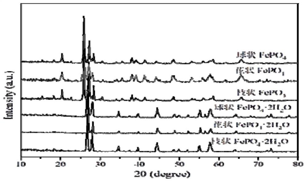 Preparation method and application of micron iron phosphate with different shapes