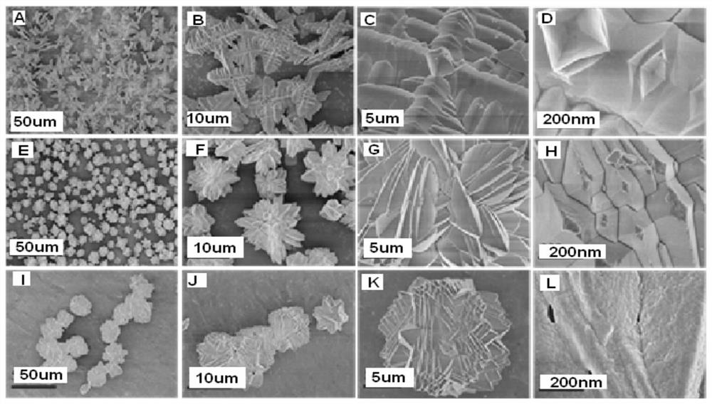 Preparation method and application of micron iron phosphate with different shapes