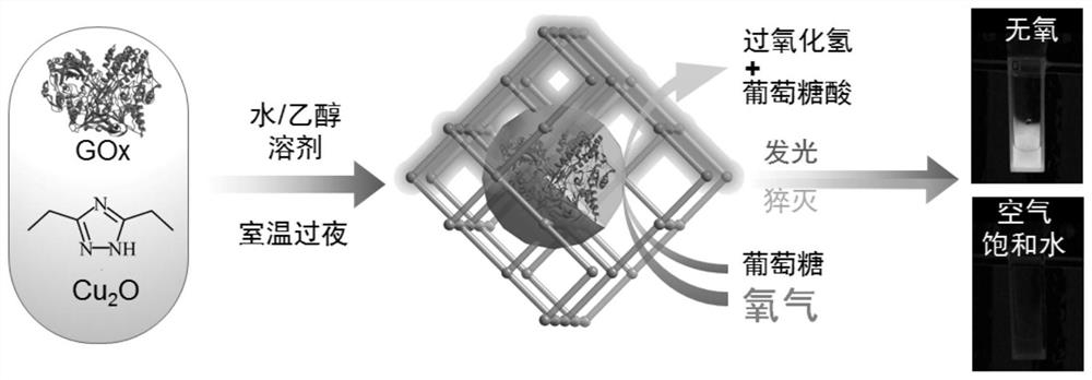 An integrated particle-type immobilized enzyme biosensor and its preparation method and application