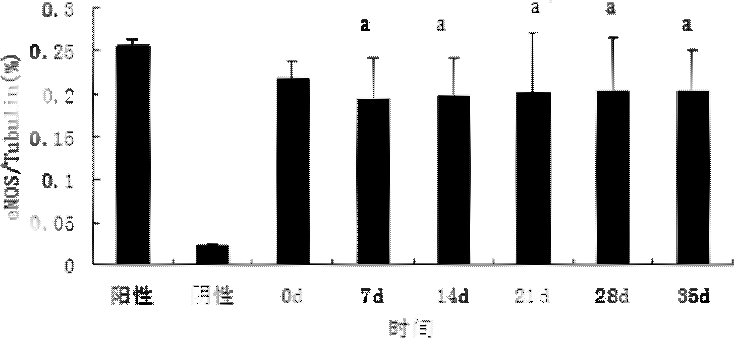 Blood maintenance liquid, preparation method thereof and application thereof