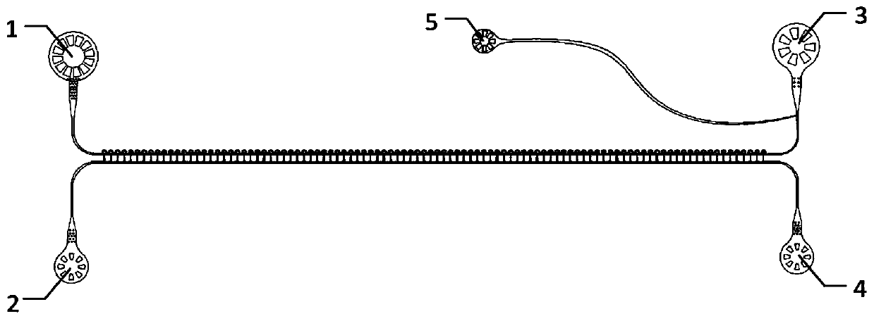 High-efficiency single-cell capture and rapid single-cell secretory protein detection platform and method