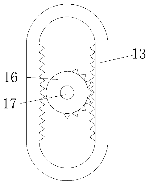 Camellia japonica edible oil processing and supplying device