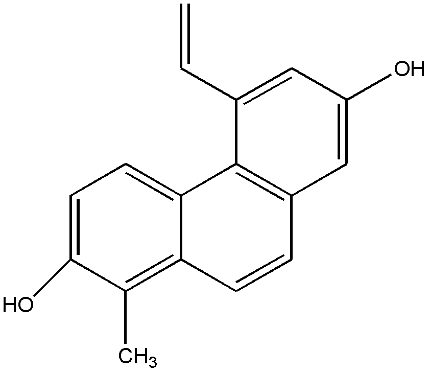 Application of dehydroeffusol in preparation of drugs for tumor preventing and tumor angiogenesis inhibiting, health food or cosmetics