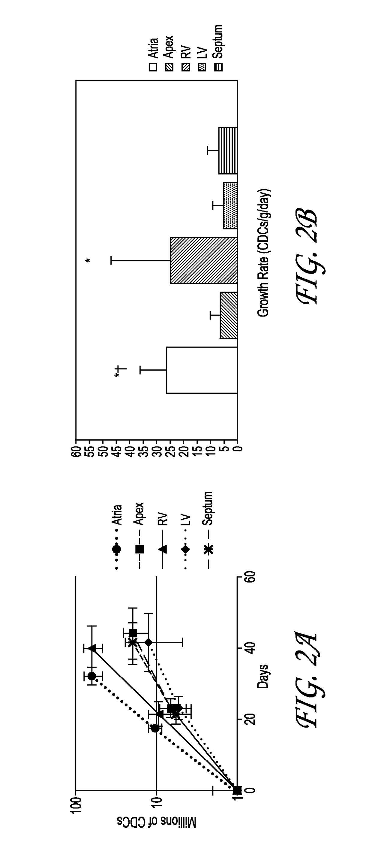 Optimized methods for generation of cardiac stem cells from cardiac tissue and their use in cardiac therapy
