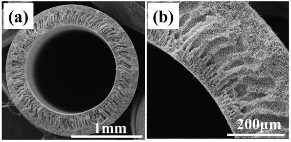 Preparation and application of whisker-shaped ceramic membrane with low cost and high permeability